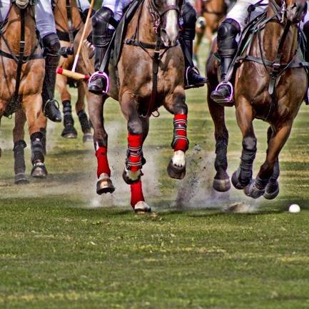 BG Vero Beach Polo